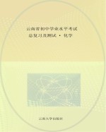 云南省初中学业水平考试总复习及测试 化学