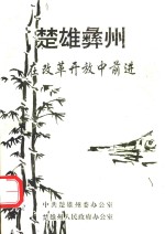 楚雄彝州 在改革开放中前进