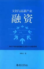 文创与高新产业融资 知识产权价值挖掘的交易设计与风险管理=NEO ECONOMY CULTURE AND DREATIVE FINANCING CULTURE AND CREATIVE IPR R