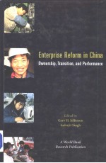 Enterprise reform in China:ownership