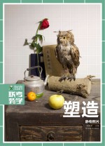 素描+色彩 静物照片 塑造