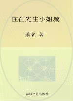 国内大奖书系 住在先生小姐城