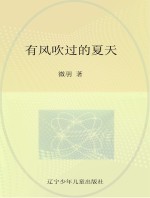 12岁成长私房书 有风吹过的夏天