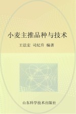 小麦主推品种与技术