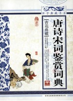 唐诗宋词鉴赏词典