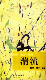 湍流 当代汉语言前沿文本