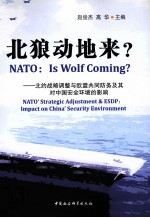 北狼动地来?——北约战略调整与欧盟共同防务及其对中国安全环境的影响