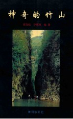 神奇的竹山