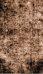 群经字诂 卷28-30