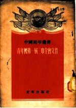 青年团第一届三中全会文件