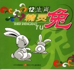 十二生肖 精灵兔