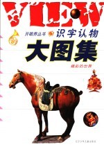 识字认物大图集 精彩的世界