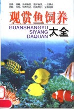 观赏鱼饲养大全