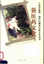 傣医药文化