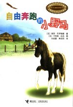 自由奔跑的小野马