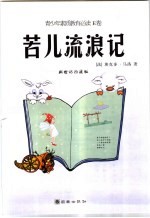 苦儿流浪记 新世纪珍藏版