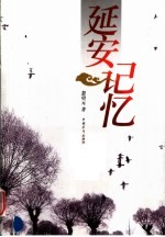延安记忆