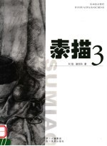 绘画技法指导 素描 3