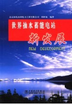 世界抽水蓄能电站新发展