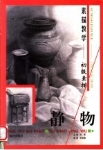 素描教学 初级素描 静物