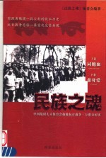 民族之魂:中国战时儿童保育会抢救抗日战争三万难童纪实