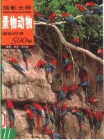 摄影大师摄影经典500幅 景物动物 上