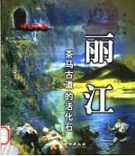 丽江 茶马古道的活化石