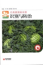 瓜类蔬菜病虫害识别与防治