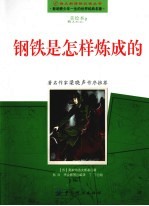 钢铁是怎样炼成的 影响青少年一生的世界经典名著