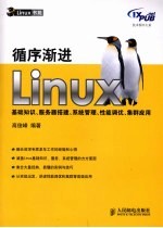 循序渐进Linux 基础知识、服务器搭建、系统管理、性能调优、集群应用