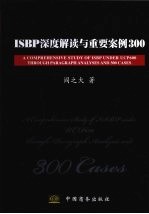 ISBP深度解读与重要案例300