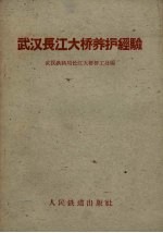 武汉长江大桥养护经验