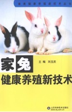 家兔健康养殖新技术