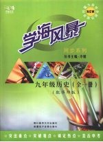 学海风暴 同步系列 九年级 历史 (全一册) ( 配华师版)