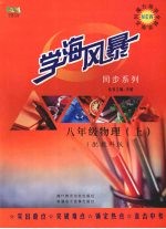 学海风暴 同步系列 八年级 物理(上册)(配教科版)