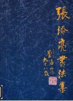张添亮书法集