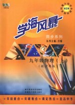 学海风暴 同步系列 九年级物理 (上册)(配沪粤版)