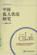 中国孤儿状况研究