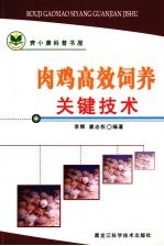 肉鸡高效饲养关键技术