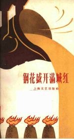 钢花盛开满城红