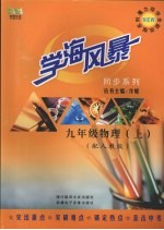 学海风暴 同步系列 九年级物理(上册)(配人教版)