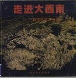 走进大西南 西南风情写生集