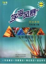 学海风暴 阅读系列 九年级 化学 (上册) (配人教版)
