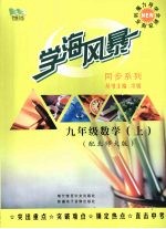 学海风暴 同步系列 九年级 数学 (上册)(配北师大版)