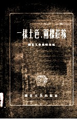 一样土色，两样庄稼 短篇小说选集
