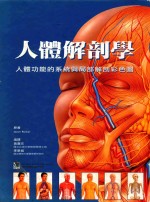 人体解剖学 人体功能的系统与局部解剖彩色图