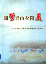 崛起的青山环保产业 武汉青山国家环保产业基地