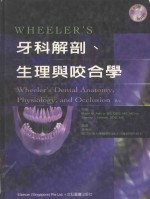 牙科解剖 生理与咬合学