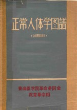 正常人体学图谱 试用教材