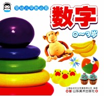 婴幼儿早教必看 0-3岁 数字